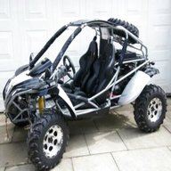 quadzilla buggy rl500 for sale