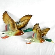 flying wall ducks for sale