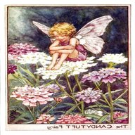 cicely mary barker flower fairies prints for sale