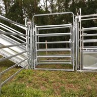 cattle gate for sale