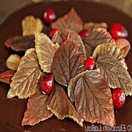 chocolate leaves for sale
