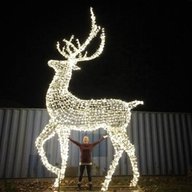 reindeer lights for sale