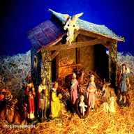 nativity manger for sale