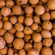 clay balls for sale