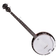 remo 5 string banjo for sale