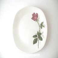 midwinter stylecraft rose for sale