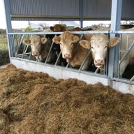 cattle barrier for sale
