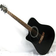 takamine series for sale