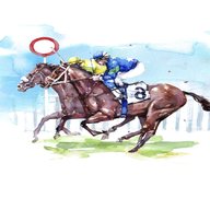 horse racing race cards for sale