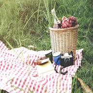 concept picnic for sale
