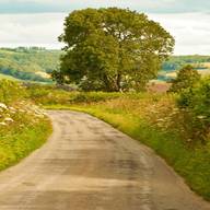 country lane for sale