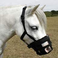 grazing muzzle pony for sale