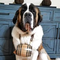 st bernard wooden dog for sale