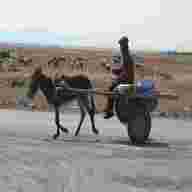 donkey cart for sale