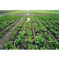 drip irrigation for sale
