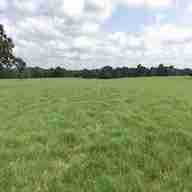pasture land for sale