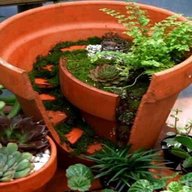 unusual plant pots for sale