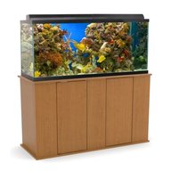 oak aquarium for sale