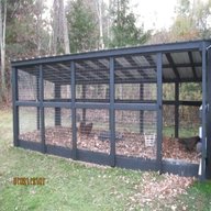 chicken enclosure for sale