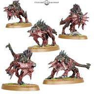 flesh hounds for sale
