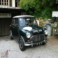 speedwell mini for sale