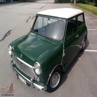 austin mini 998cc for sale