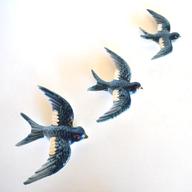 flying wall birds for sale