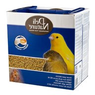 canary egg food for sale
