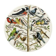 emma bridgewater plate birds for sale
