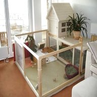 indoor rabbit house for sale