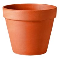 terracotta plant pots for sale