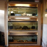 aquarium rack for sale