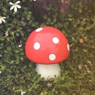 fairy toadstool for sale
