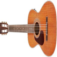 farida guitars for sale