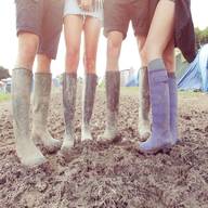 festival wellies for sale