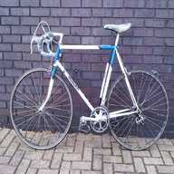 raleigh road ace for sale