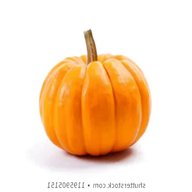 small pumpkin for sale