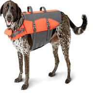 dog lifejacket for sale