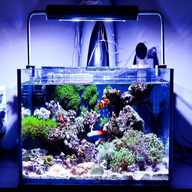 nano marine aquarium for sale