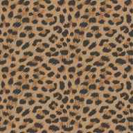 leopard print wallpaper for sale