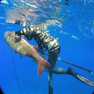 spearfishing for sale