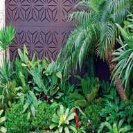 tropical garden plants for sale