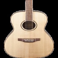 takamine g series for sale