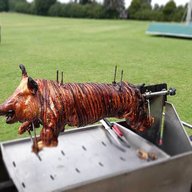mobile hog roast for sale
