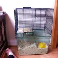 large gerbil cage for sale