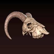 goat skull for sale