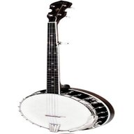 5 string resonator banjo for sale