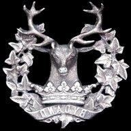 gordon highlanders badge for sale