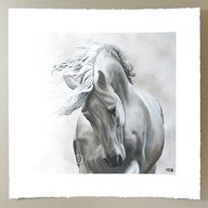 limited edition horse print for sale