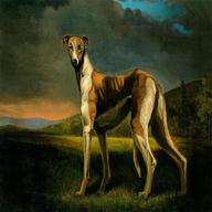 greyhound painting for sale